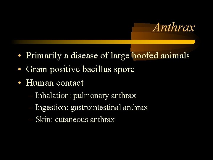Anthrax • Primarily a disease of large hoofed animals • Gram positive bacillus spore