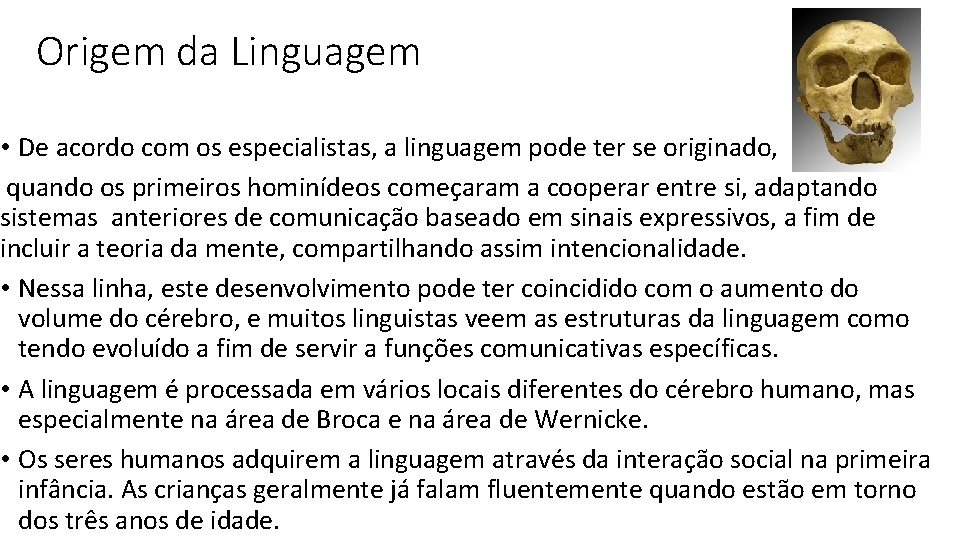 Origem da Linguagem • De acordo com os especialistas, a linguagem pode ter se