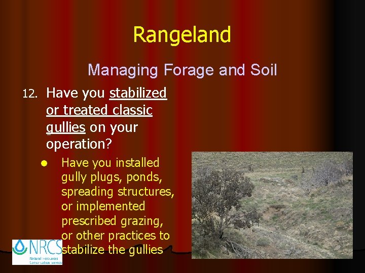 Rangeland Managing Forage and Soil 12. Have you stabilized or treated classic gullies on