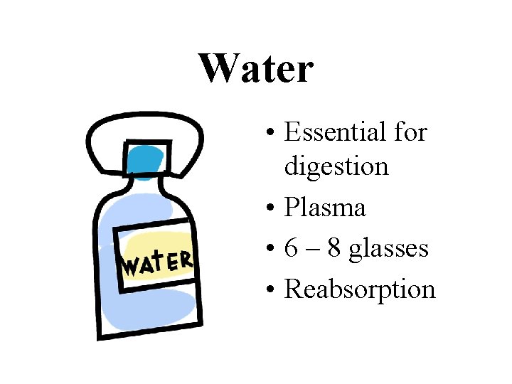 Water • Essential for digestion • Plasma • 6 – 8 glasses • Reabsorption