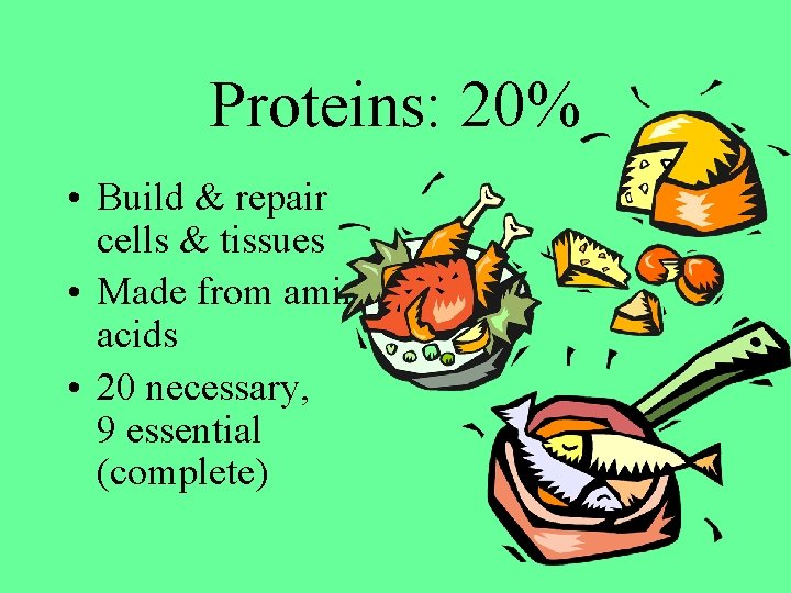 Proteins: 20% • Build & repair cells & tissues • Made from amino acids