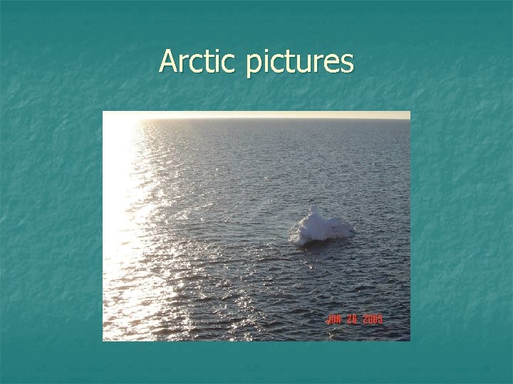 Arctic pictures 