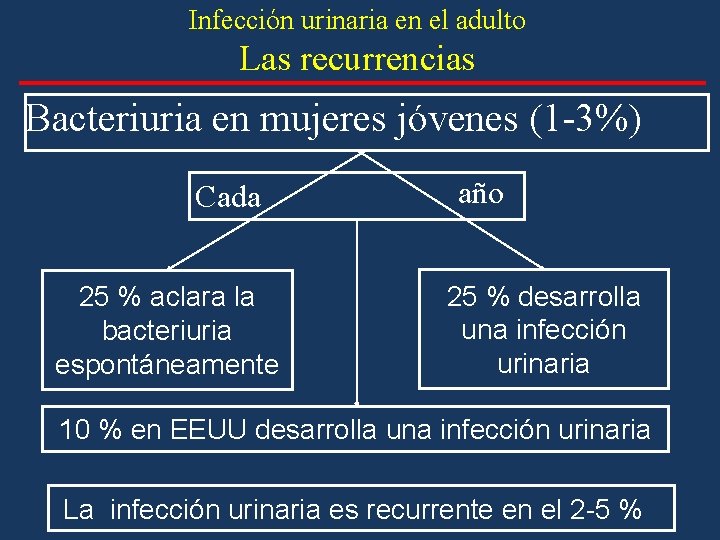 Infección urinaria en el adulto Las recurrencias Bacteriuria en mujeres jóvenes (1 -3%) Cada Infección urinaria en el adulto Las recurrencias Bacteriuria en mujeres jóvenes (1 -3%) Cada