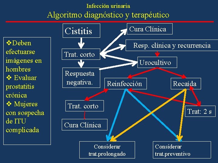 Infección urinaria Algoritmo diagnóstico y terapéutico Cura Clínica Cistitis v. Deben efectuarse imágenes en Infección urinaria Algoritmo diagnóstico y terapéutico Cura Clínica Cistitis v. Deben efectuarse imágenes en