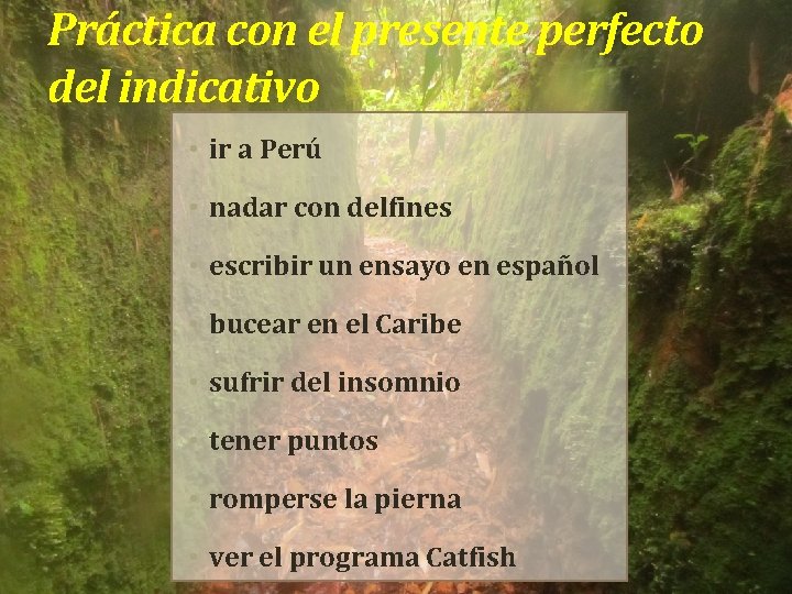 Práctica con el presente perfecto del indicativo • ir a Perú • nadar con Práctica con el presente perfecto del indicativo • ir a Perú • nadar con