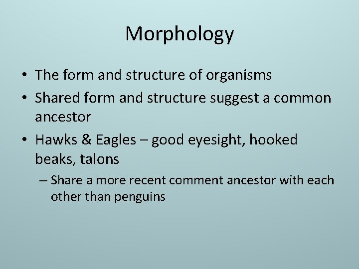 Morphology • The form and structure of organisms • Shared form and structure suggest