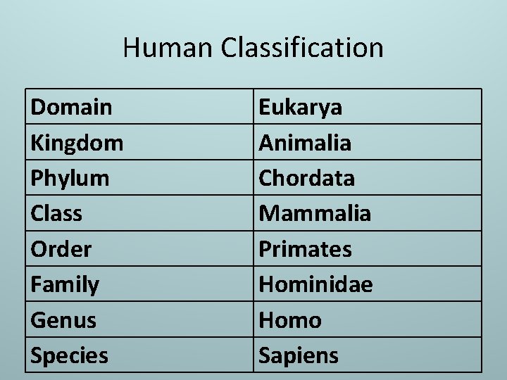 Human Classification Domain Kingdom Phylum Class Order Family Genus Species Eukarya Animalia Chordata Mammalia