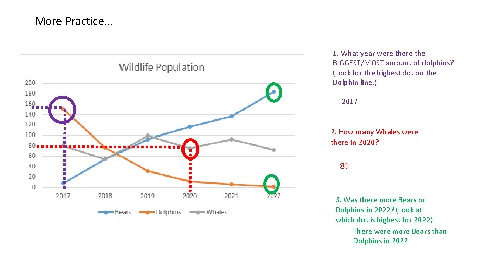 More Practice. . . 1. What year were the BIGGEST/MOST amount of dolphins? (Look