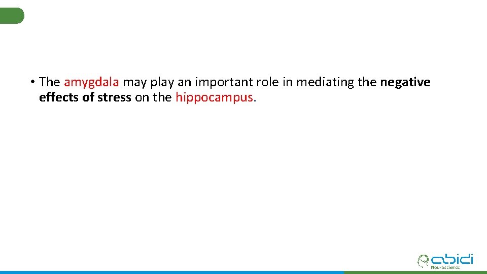  • The amygdala may play an important role in mediating the negative effects