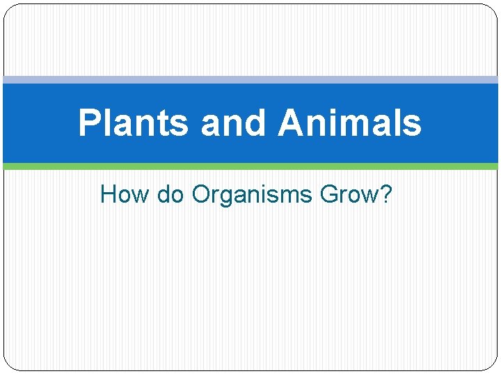 Plants and Animals How do Organisms Grow? 