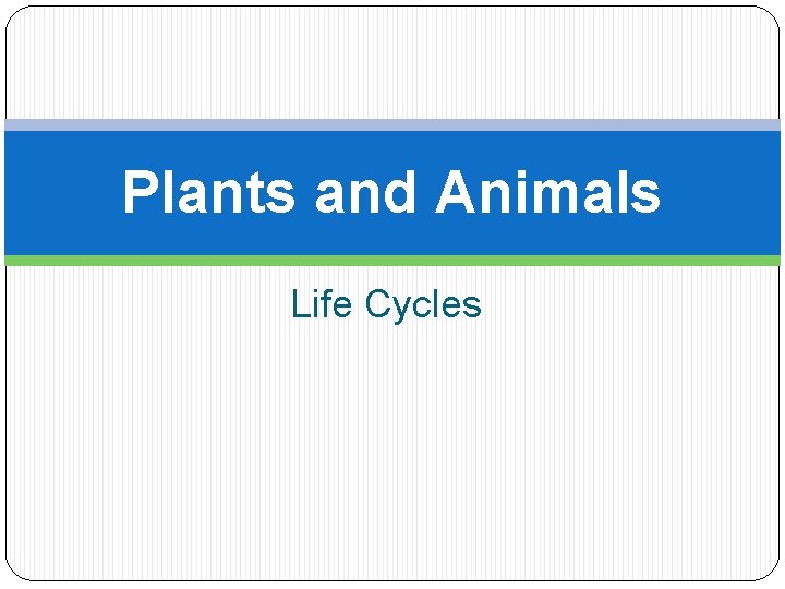 Plants and Animals Life Cycles 