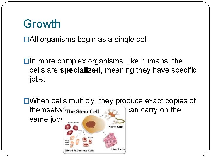 Growth �All organisms begin as a single cell. �In more complex organisms, like humans,
