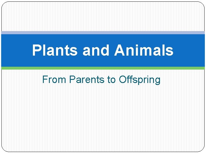 Plants and Animals From Parents to Offspring 