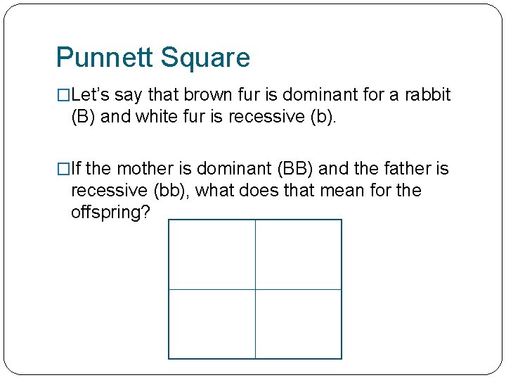Punnett Square �Let’s say that brown fur is dominant for a rabbit (B) and