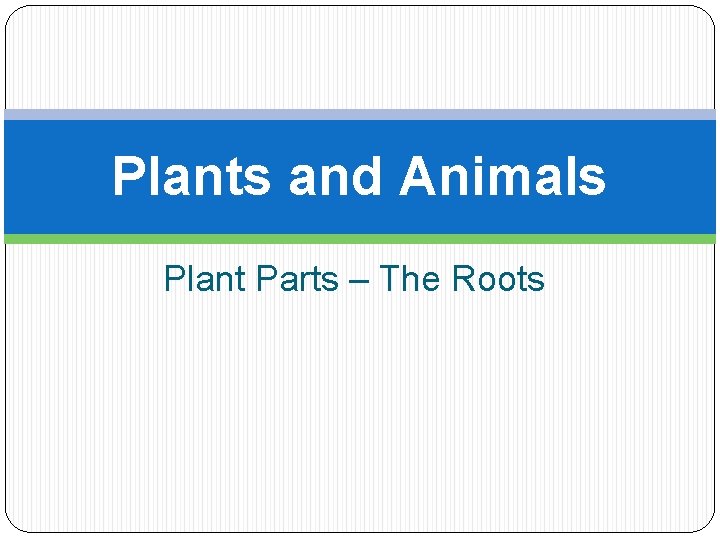 Plants and Animals Plant Parts – The Roots 
