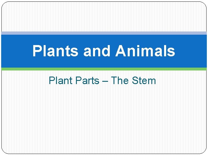 Plants and Animals Plant Parts – The Stem 
