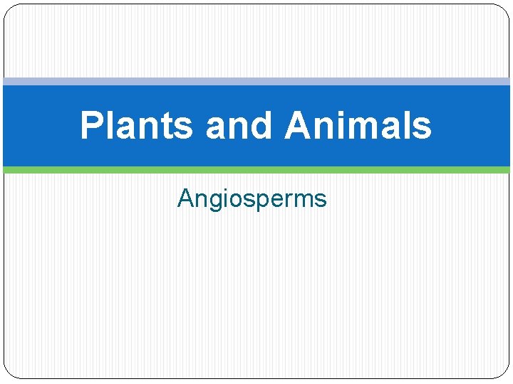 Plants and Animals Angiosperms 
