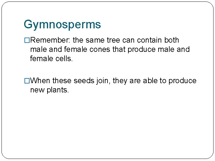 Gymnosperms �Remember: the same tree can contain both male and female cones that produce