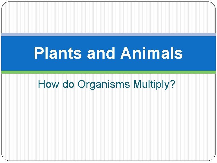 Plants and Animals How do Organisms Multiply? 