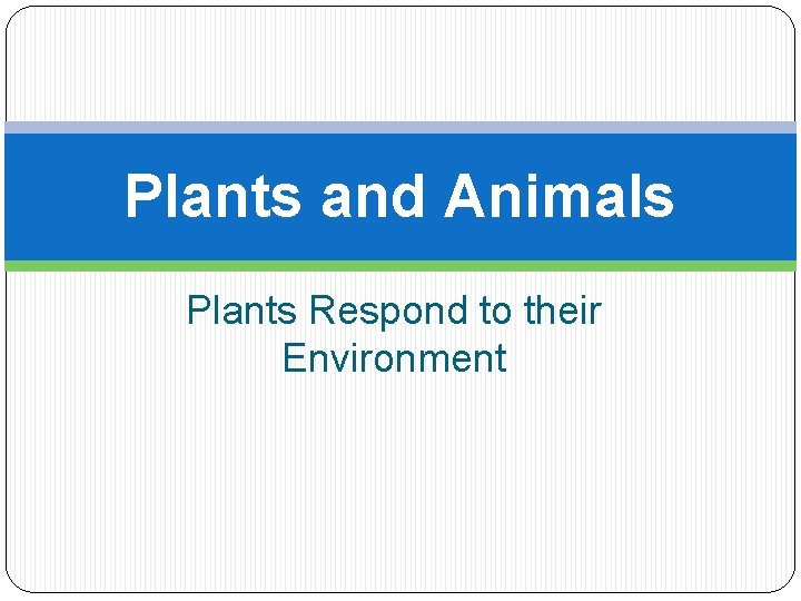 Plants and Animals Plants Respond to their Environment 
