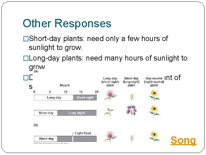 Other Responses �Short-day plants: need only a few hours of sunlight to grow. �Long-day
