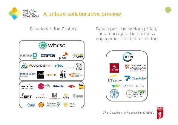 A unique collaborative process Developed the Protocol Developed the sector guides, and managed the