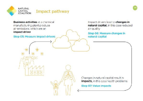 Impact pathway 34 