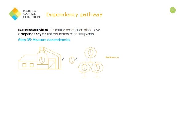 35 v v v Dependency pathway 