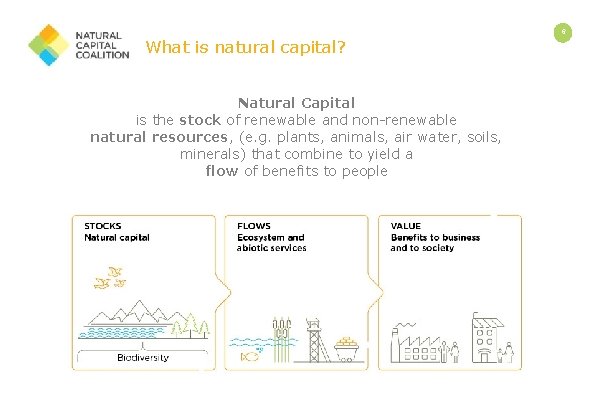 What is natural capital? Natural Capital is the stock of renewable and non-renewable natural