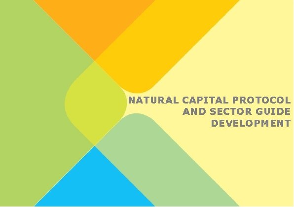 8 NATURAL CAPITAL PROTOCOL AND SECTOR GUIDE DEVELOPMENT 