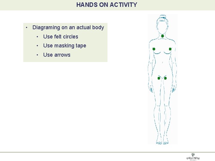 HANDS ON ACTIVITY POSITION YOUR FOCUS: SITE, PRESSURE, • Diagraming on an actual body