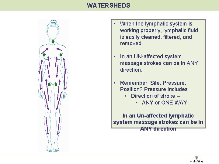 WATERSHEDS • When the lymphatic system is working properly, lymphatic fluid is easily cleaned,