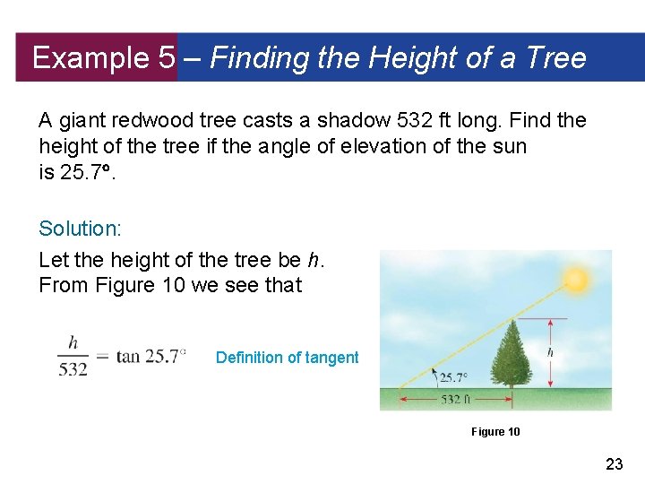 Example 5 – Finding the Height of a Tree A giant redwood tree casts