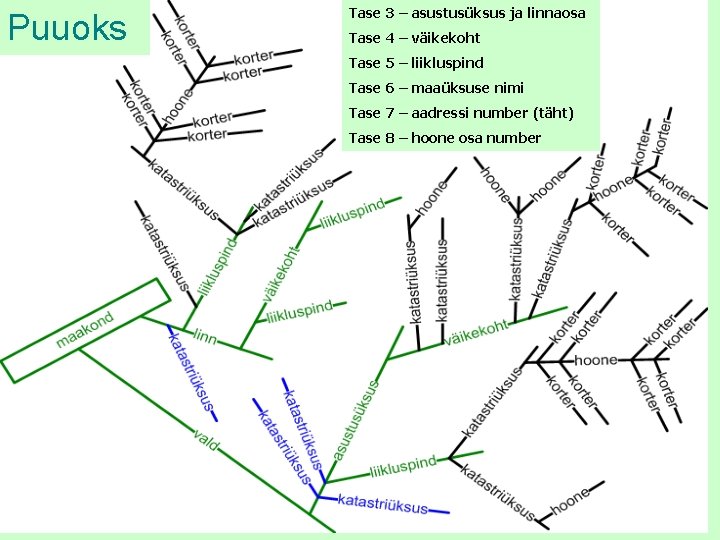 Puuoks Tase 3 – asustusüksus ja linnaosa Tase 4 – väikekoht Tase 5 –