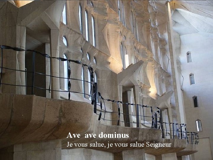 Ave ave dominus Je vous salue, je vous salue Seigneur 