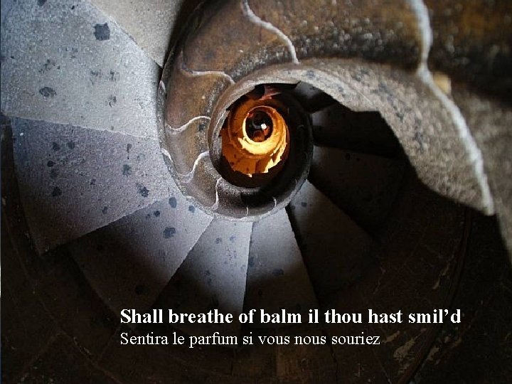Shall breathe of balm il thou hast smil’d Sentira le parfum si vous nous