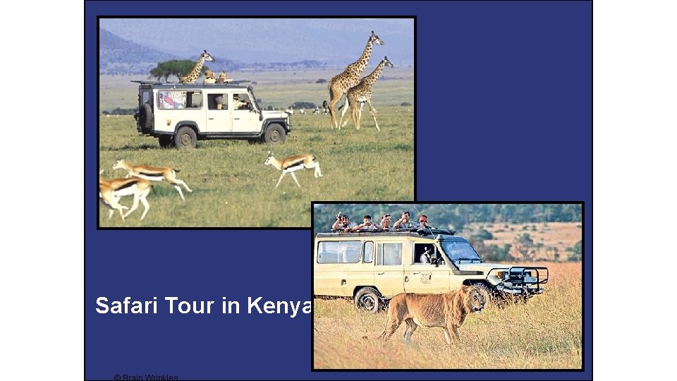 Safari Tour in Kenya 