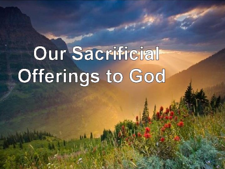 Our Sacrificial Offerings to God 
