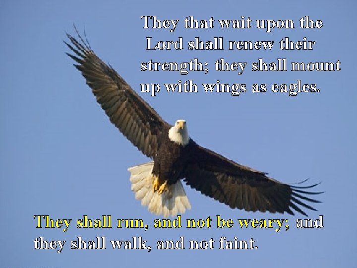 They that wait upon the Lord shall renew their strength; they shall mount up