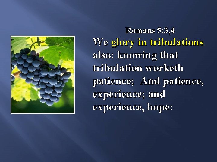 Romans 5: 3, 4 We glory in tribulations also: knowing that tribulation worketh patience;