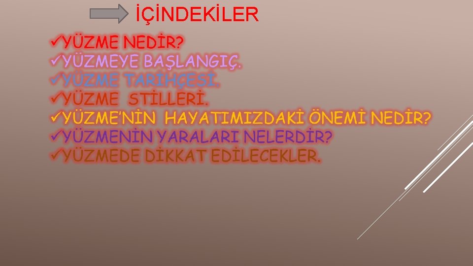 İÇİNDEKİLER 