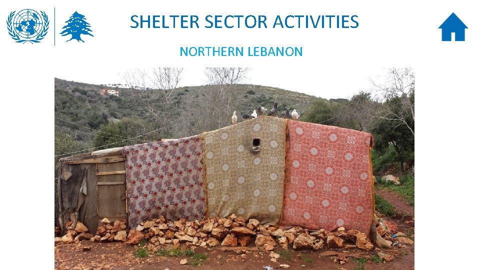 SHELTER SECTOR ACTIVITIES NORTHERN LEBANON 