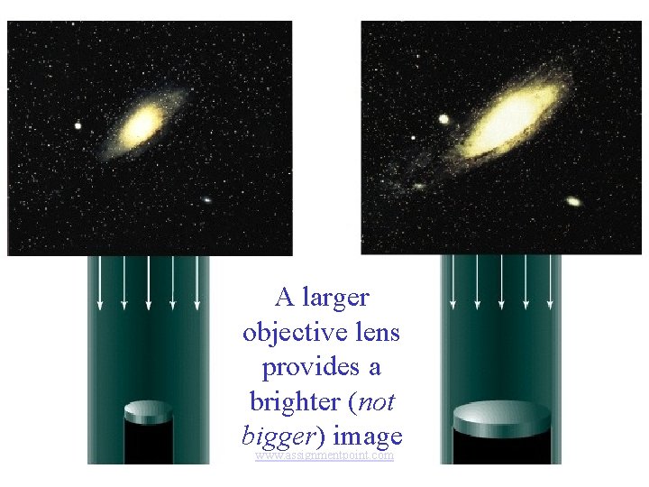 A larger objective lens provides a brighter (not bigger) image www. assignmentpoint. com 