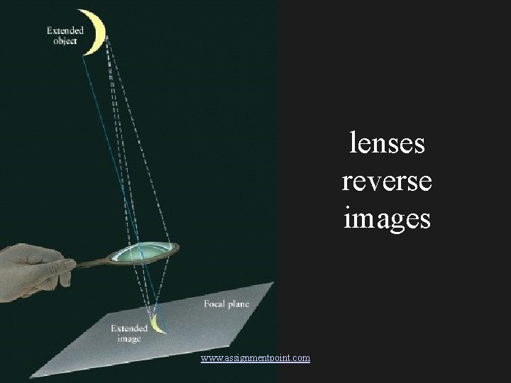 lenses reverse images www. assignmentpoint. com 
