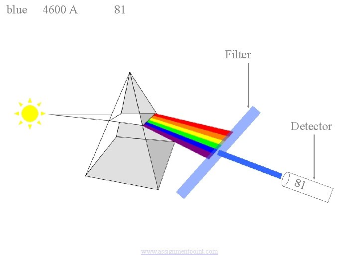 blue 4600 A 81 Filter Detector 81 www. assignmentpoint. com 