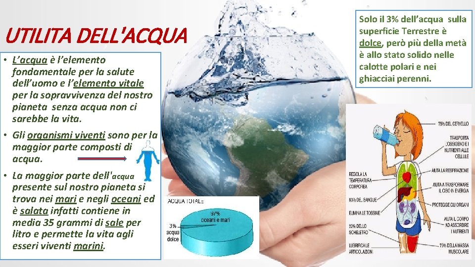 UTILITA DELL'ACQUA • L’acqua è l’elemento fondamentale per la salute dell’uomo e l’elemento vitale