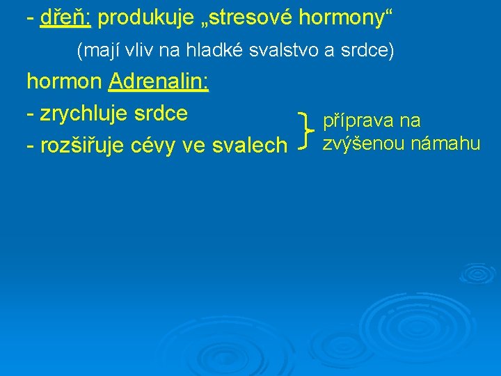 - dřeň: produkuje „stresové hormony“ (mají vliv na hladké svalstvo a srdce) hormon Adrenalin: