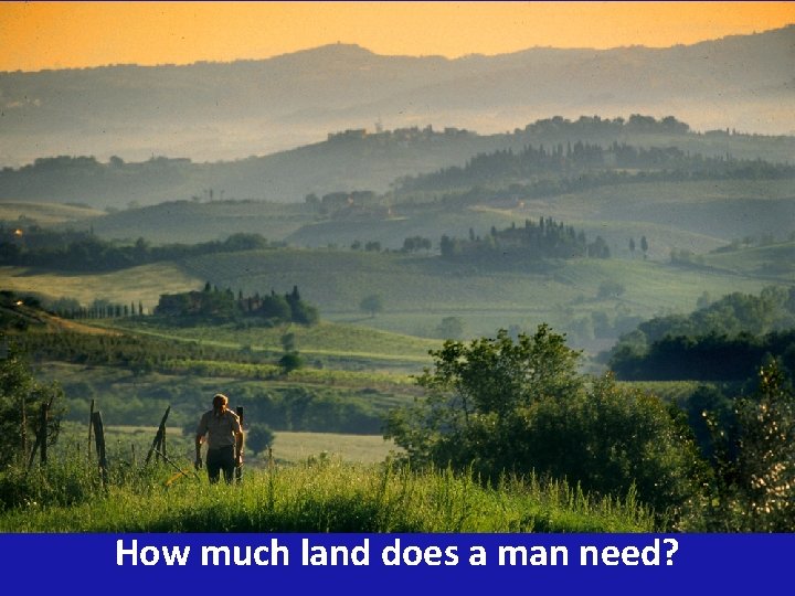 How much land does a man need? 