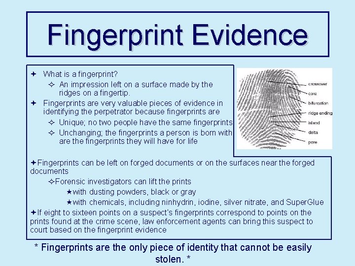 Fingerprint Evidence ª What is a fingerprint? ² An impression left on a surface