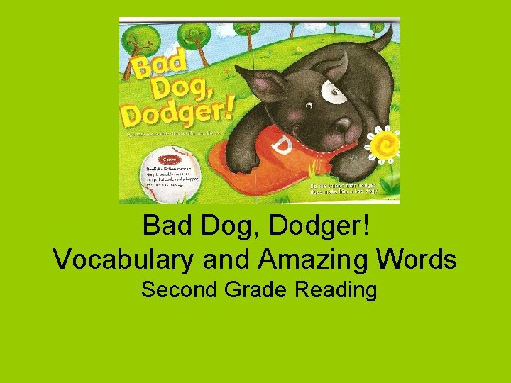 Bad Dog, Dodger! Vocabulary and Amazing Words Second Grade Reading 